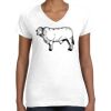 Women's Fine Jersey V-Neck Tee Thumbnail
